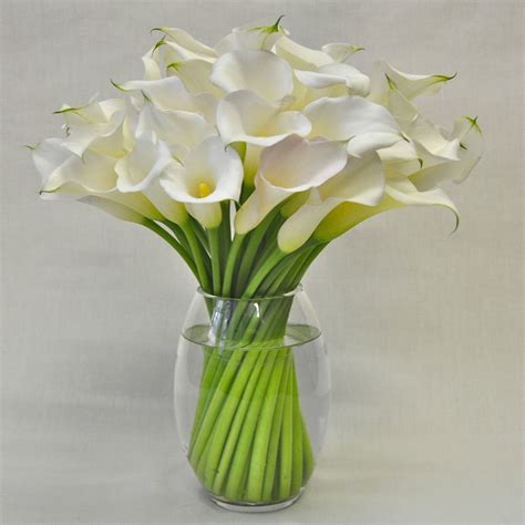 White Calla Lilies Bouquet | ubicaciondepersonas.cdmx.gob.mx