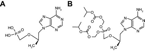 Chemical structure of tenofovir (A) and tenofovir disoproxil fumarate (B). | Download Scientific ...