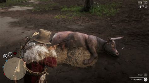 Devon Bull Location Farmland Animal Samples Taken RDR2 Daily Challenges ...