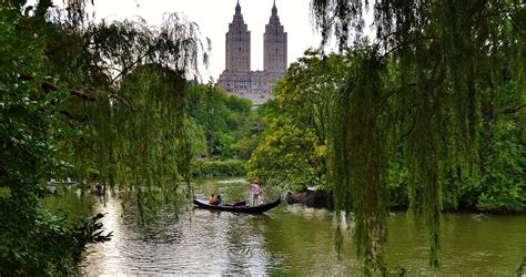 Central park in summer, see all the beautiful photos