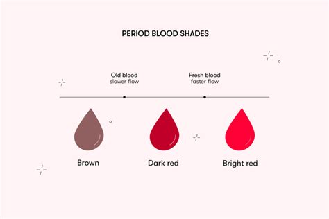 What Does The Color Of Period Blood Mean - vrogue.co