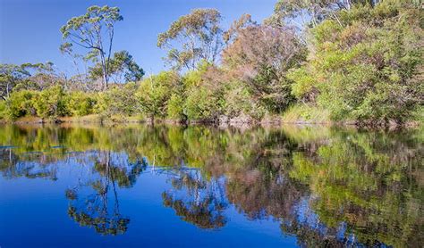 Dharawal National Park | NSW National Parks