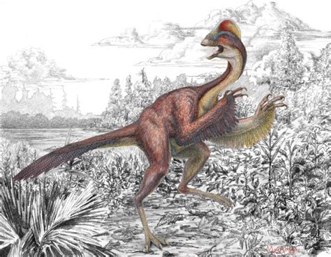 Giant "Chicken From Hell" is New Dinosaur Species | Discover Magazine