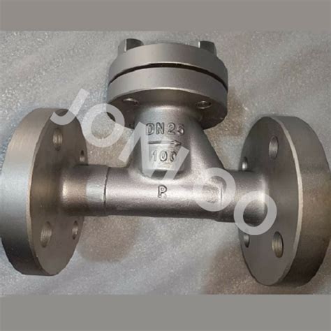 Lift Check Valve DN25 PN100 CF8 Material | JONLOO - Jonloo Valve Company