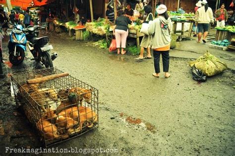 Tomohon Traditional Market, All you Can Eat….! | KASKUS