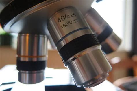 What are the Types of Objective Lenses on a Microscope?