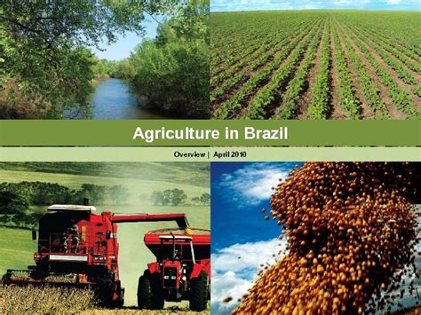 Agriculture in Brazil Overview April 2010