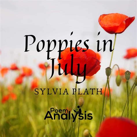 Analysis of Poppies in July by Sylvia Plath | Poem Analysis