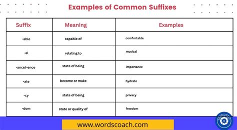 50 Examples of Common Suffixes with Meaning - Word Coach