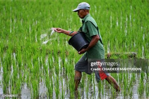 826 Spreading Fertilizer Stock Photos, High-Res Pictures, and Images - Getty Images