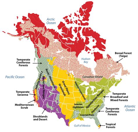 4.1 Introducing the Realm – World Regional Geography