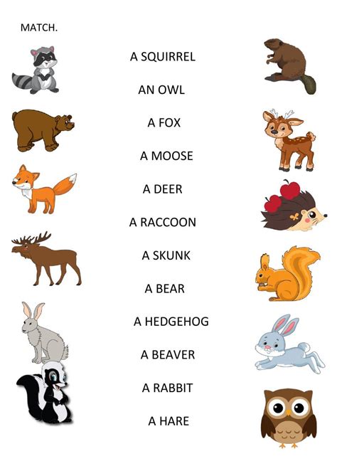 Forest Animals Vocabulary - TEFL Lessons - tefllessons.com | ESL ...