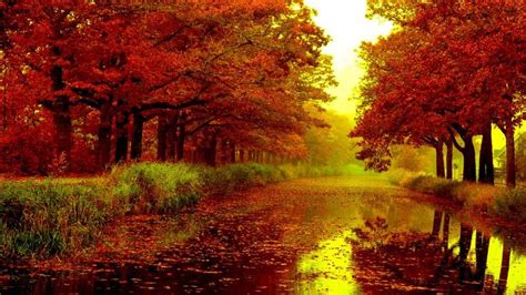 39 Autumn Wallpapers That Will Take Your Breath Away | Nature wallpaper, Rain wallpapers, Fall ...