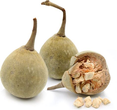 Baobab Fruit | Baobab powder, Fruit, Organic superfoods