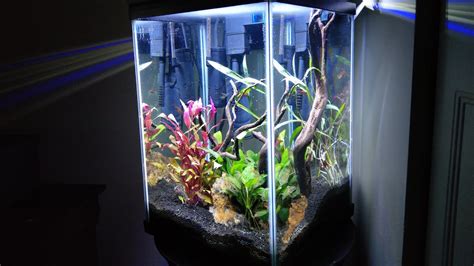 Aquarium Update!!! Top Fin Fascinate 10 gallon tank - YouTube