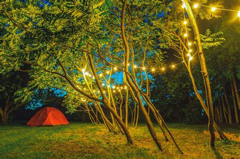 String Lights Hanging on Trees Near Dome Tent · Free Stock Photo