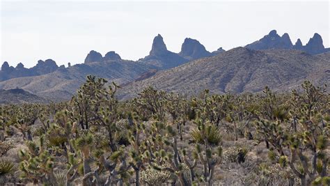 3 new national monuments celebrated in California