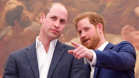 "This is brutal": Prince Harry claims brother William physically attacked him, leaving netizens ...