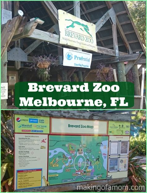 Adventure Awaits You at the Brevard Zoo - Melbourne, FL