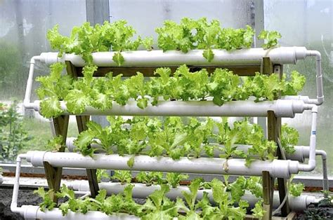 Pvc Pipe Hydroponics Diy : Diy Hydroponic Pvc Pipe System With Complete List And Instructions ...