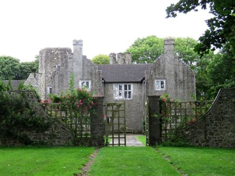 Foraging on Lambay Island. A spectacular escape off the coast of Ireland