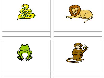 Dear Zoo literacy activities by Ibuzzybea - UK Teaching Resources - TES