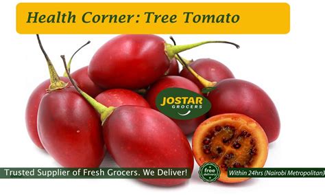 Health Benefits of Tree Tomato | Gentum Media Services