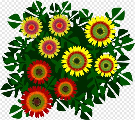 Plant, flower, sunflower - Drawing - 742x663 (#28187054) PNG Image - PngJoy