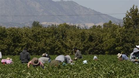 This Post About Migrant Workers is Going Viral - ATTN: