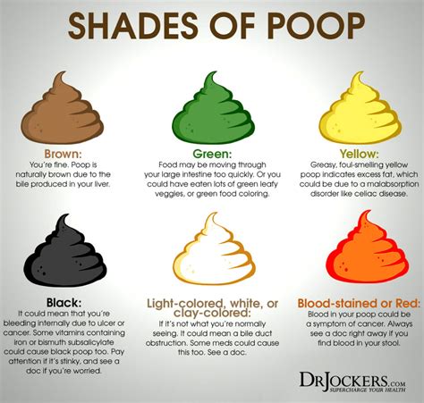 16 Ways to Achieve a Healthy Poop!! - DrJockers.com