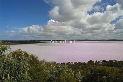 "Pink Lake, Esperance, Western Australia" by Adrian Paul | Redbubble