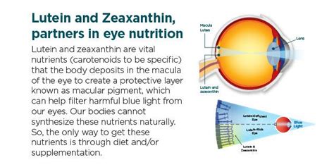 Eye Benefits From Lutein And Zeaxanthin - Goggles4u.com