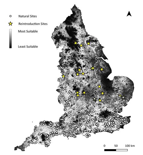 Mapping suitable habitat for dormice in England - PTES