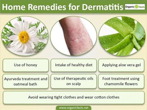 What Are The Different Types Of Dermatitis - DaftSex HD