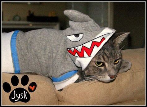 Awesome shark cat costume by acawker2012 on Etsy, $35.00 | Cats, Kittens in costumes, Dog costumes