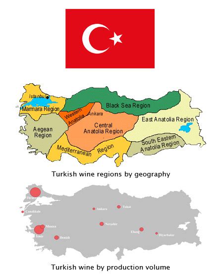 Turkish Wine: Some Initial Tasting Notes : Vinography