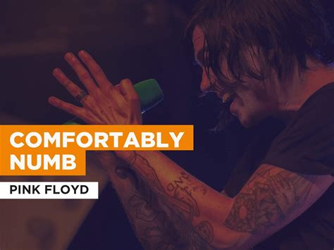 Watch Comfortably Numb in the Style of Pink Floyd | Prime Video