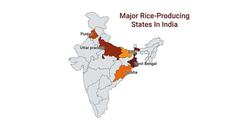 Top 10 Rice Producing States Of India Map Of India | truongquoctesaigon ...