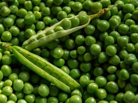 Types of Peas - Complete List and Guide 2023 - Northern Nester