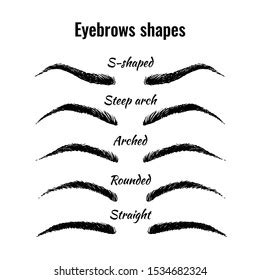 Eyebrows Shapes Vector Set Five Main Stock Vector (Royalty Free ...