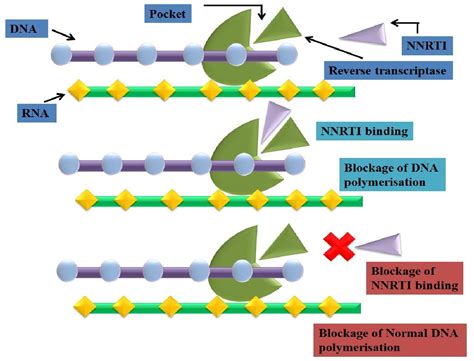 Figure 1 from Drug design strategies using non nucleoside reverse ...