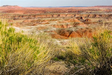 All you need to know about visiting Petrified Forest National Park ...