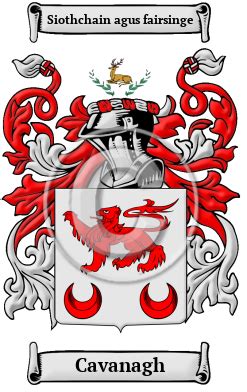 Cavanagh Name Meaning, Family History, Family Crest & Coats of Arms, Irish-Alt