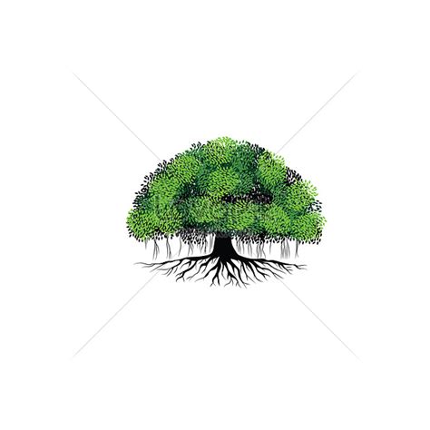 roots of banyan tree illustration image_picture free download 450071777_lovepik.com