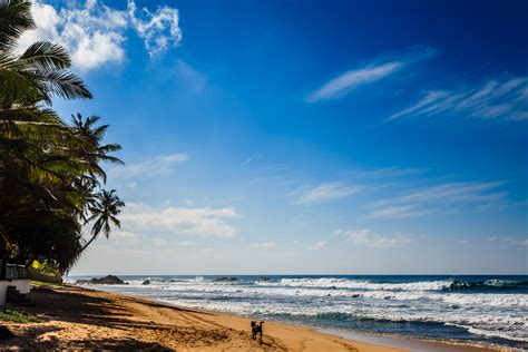 Unawatuna, Sri Lanka: Travel Guide