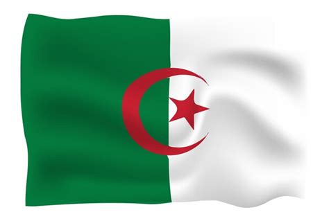 Premium Vector | Algeria flag 3d folds vector