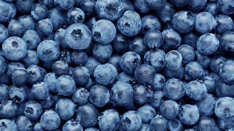 Blueberries 101: Nutrition Facts and Health Benefits