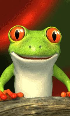 Funny frog GIF - Download & Share on PHONEKY