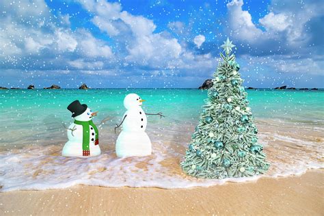 Snowy Couple on Christmas Tree Beach Digital Art by Betsy Knapp - Pixels