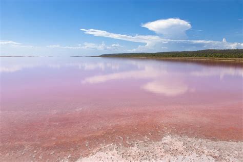 The mysterious pink water of Lake Hillier in Australia | Newz